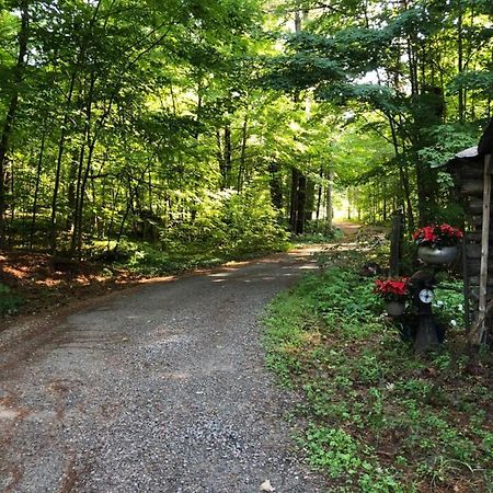 Bed and Breakfast Country Living Gravenhurst Zewnętrze zdjęcie